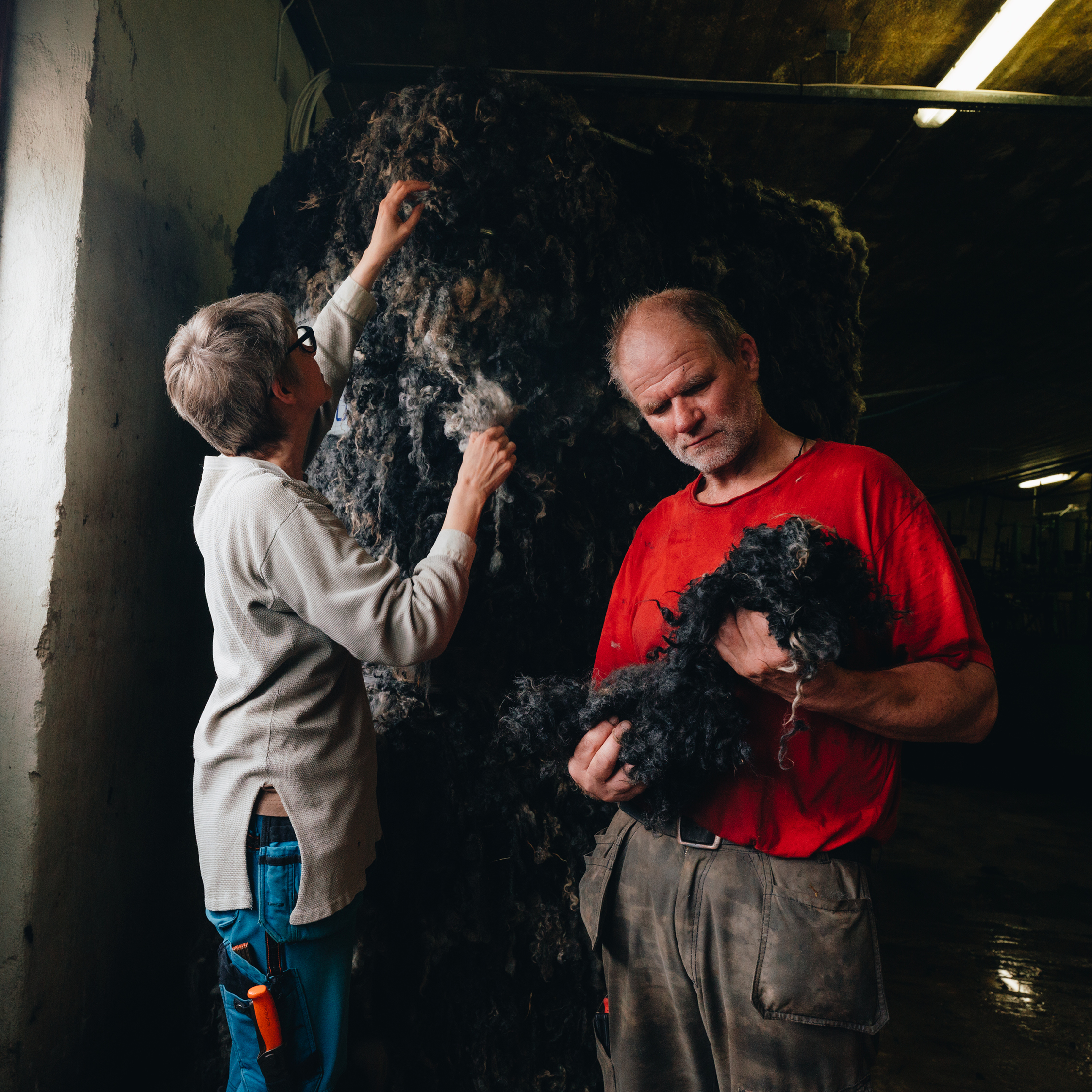 Man holding Swedish Wool